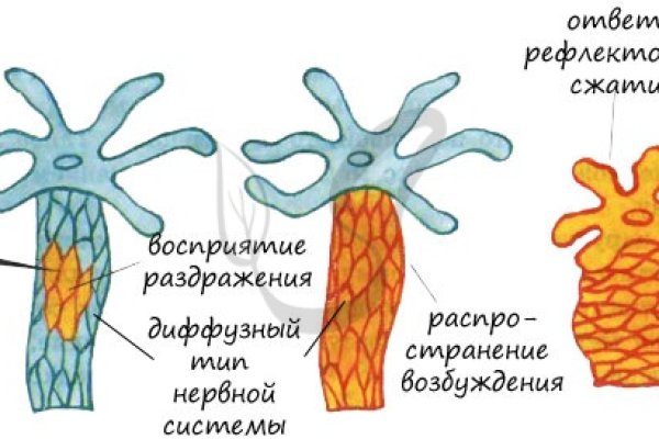 Кракен ссылки тор рабочая